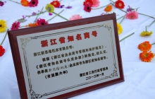 公司荣誉1