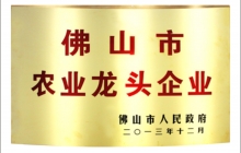 u4f5bu5c71u5e02u9f99u5934u4f01u4e1a.jpg