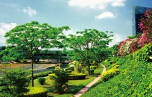 景观路、立体绿化及专类园建工程