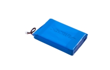ZN-836090 10000mAh with PCM.png