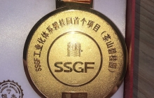 SSGF碧桂园奖牌