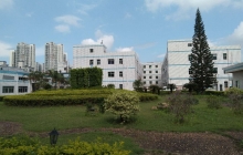 办公室前花园