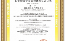 職業(yè)健康安全管理證書