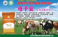 母子安