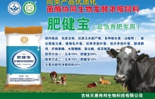 肥健宝