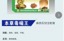 本草毒喘王