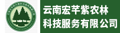 云南宏芊紫农林科技服务有限公司招聘信息