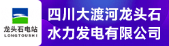 四川大渡河龍頭石水力發電有限公司招聘信息
