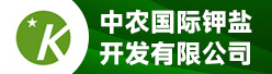 中农国际钾盐开发有限公司招聘信息