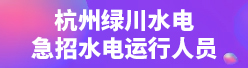 杭州绿川水电技术服务有限公司招聘信息
