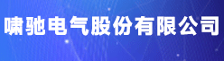 啸驰电气股份有限公司招聘信息
