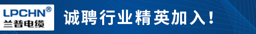 广州兰普电缆有限公司招聘信息
