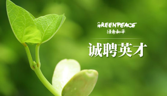 Greenpeace招聘信息