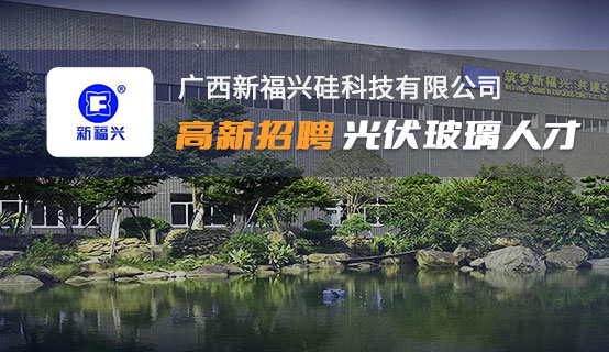 广西新福兴硅科技有限公司招聘信息