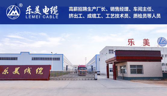 郑州市乐美电线电缆有限公司招聘信息