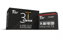 6-DZF-22.3