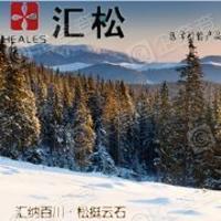 深圳市匯松科技發(fā)展有限公司