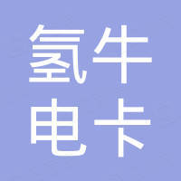 深圳市氫牛電卡新能源有限公司