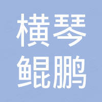 珠海横琴鲲鹏新能源环保科技有限公司